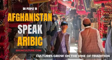 The Languages of Afghanistan: Unraveling the Complex Linguistic Landscape