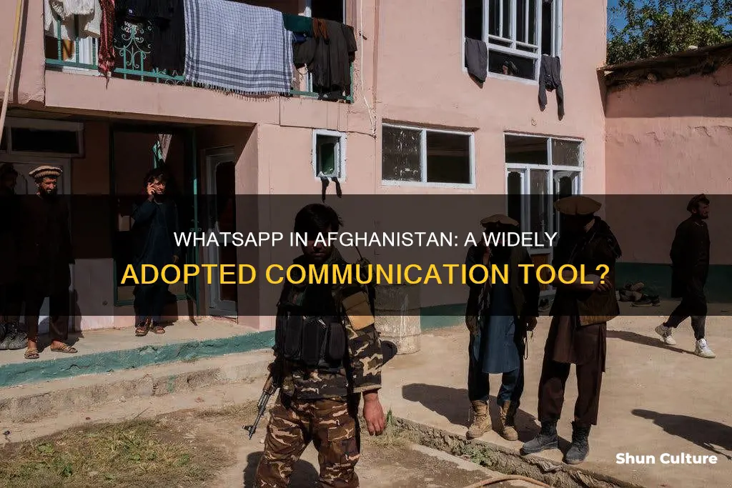 do people in afghanistan use whatsapp