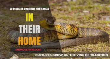 Snakes in Aussie Homes: A Common Occurrence?