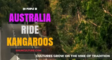 Exploring Australia: Riding Kangaroos or Just a Myth?