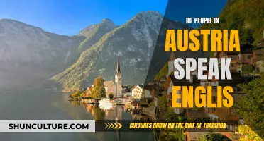 English in Austria: How Widespread is it?