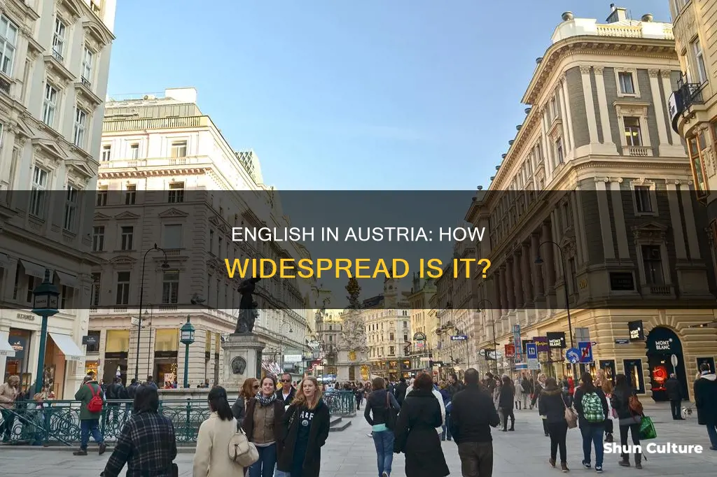 do people in austria speak englis