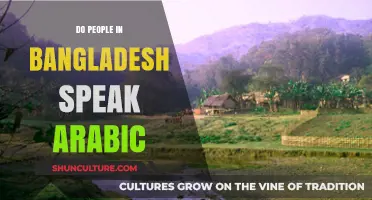 Do Bangladeshis Speak Arabic? Exploring Language Diversity in Bangladesh