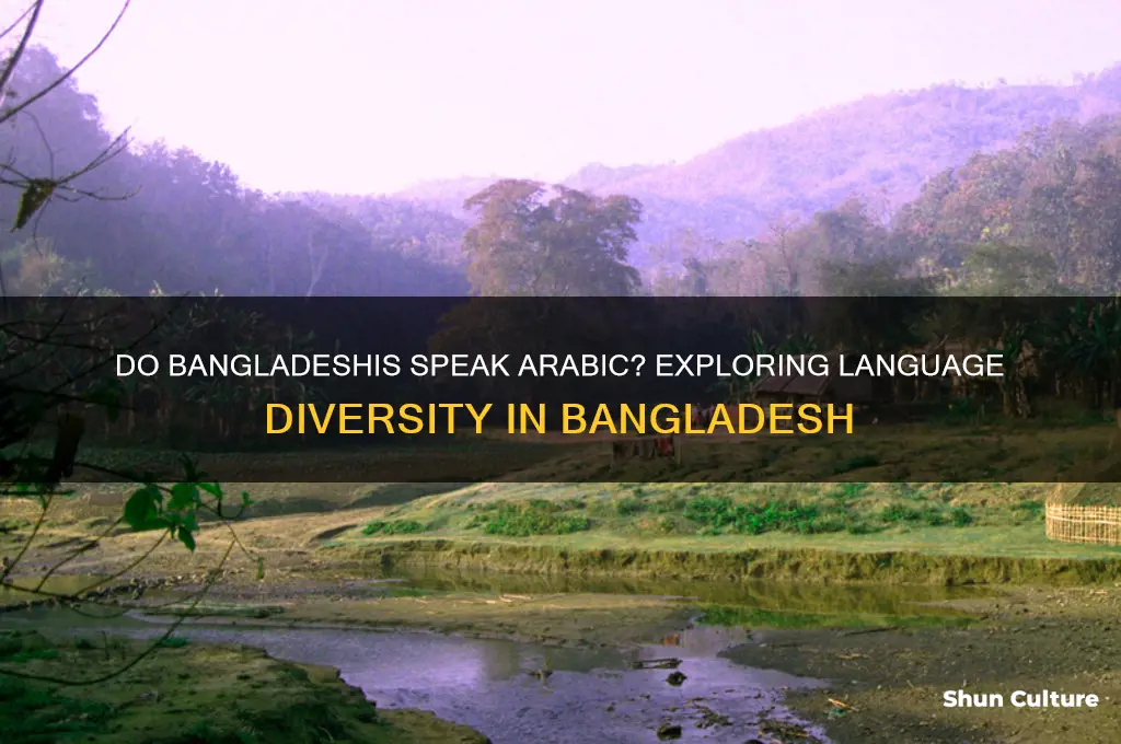 do people in bangladesh speak arabic