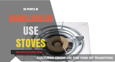 Cooking in Bangladesh: The Role of Stoves in Daily Life