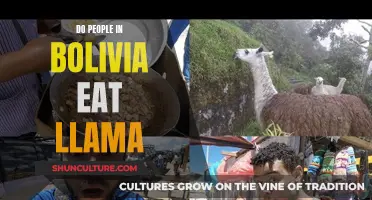 Llama Meat in Bolivia: A Culinary Adventure