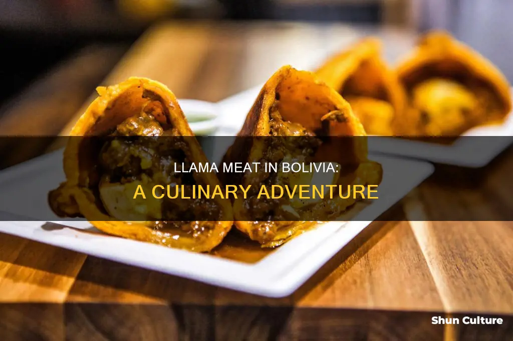 do people in bolivia eat llama