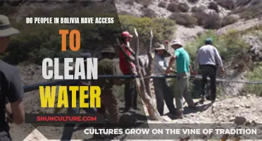 Clean Water Access in Bolivia: A Basic Human Right?