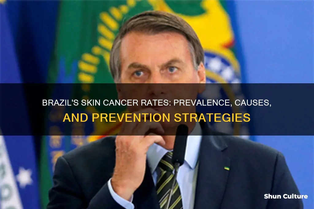 do people in brazil get skin cancer a lot