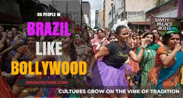 Bollywood's Charm in Brazil: Exploring Cultural Connections and Popularity