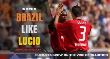 Do Brazilians Love Lúcio? Exploring the Hero's Popularity in Brazil