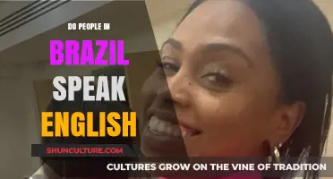 Do Brazilians Speak English? Language Insights and Cultural Perspectives