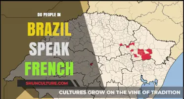 Do Brazilians Speak French? Unraveling Brazil's Official Language and Culture
