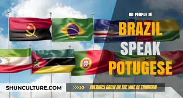 Do Brazilians Speak Portuguese? Unraveling Brazil's Official Language