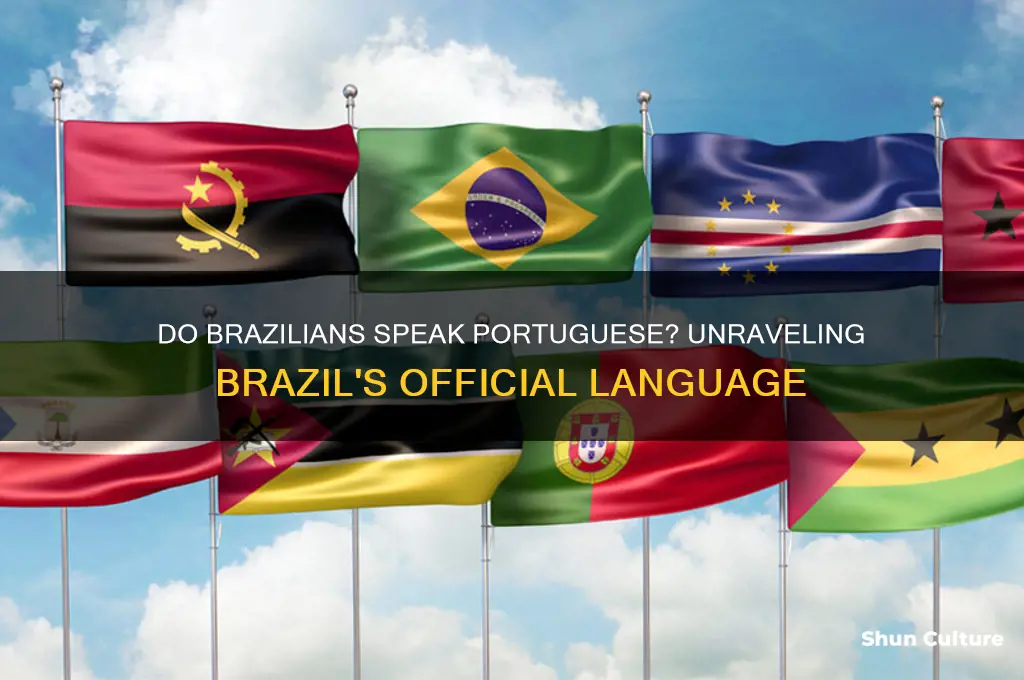 do people in brazil speak potugese