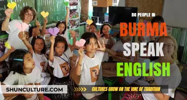 Exploring Language Diversity: English Proficiency in Myanmar