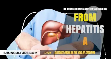 Hepatitis A Fatalities in India and Bangladesh: A Critical Analysis