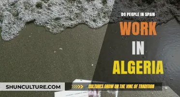 Exploring Spanish Workforce Presence and Opportunities in Algeria