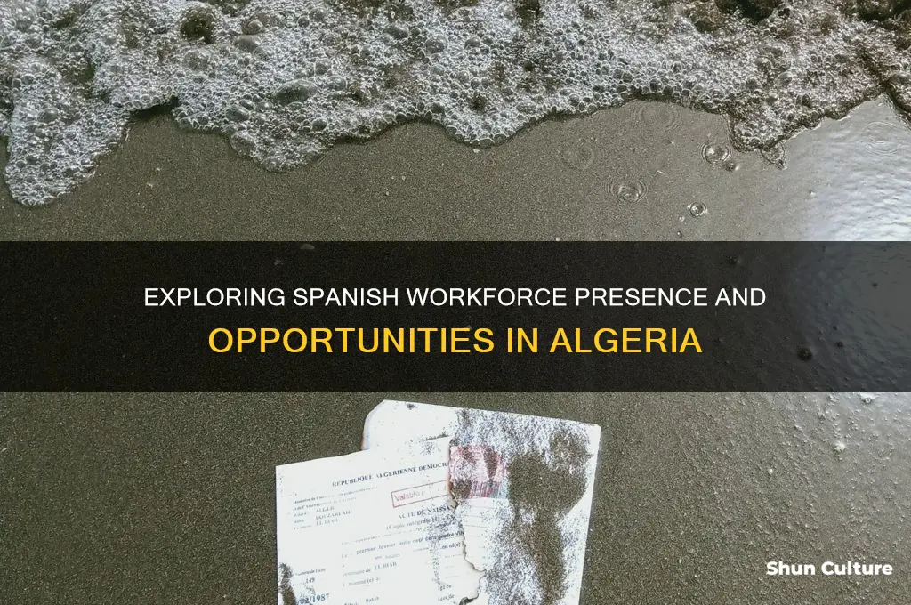 do people in spain work in algeria