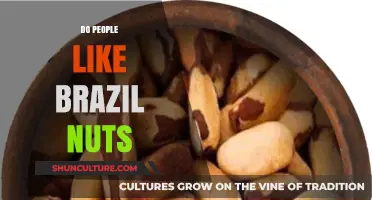 Do People Like Brazil Nuts? Exploring Their Popularity and Unique Appeal