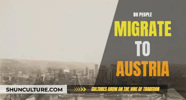 Why Austria is a Top Migration Destination