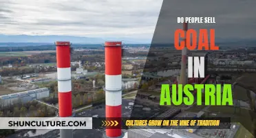 Selling Coal in Austria: Is It Legal?