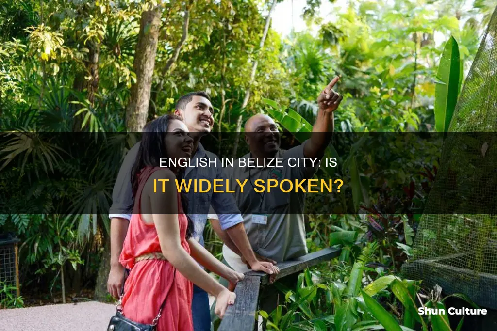 do people speak english in belize city