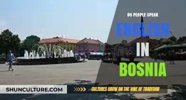 English in Bosnia: How Widely Spoken is the Language?