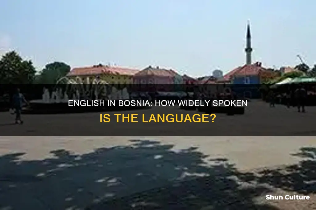 do people speak english in bosnia