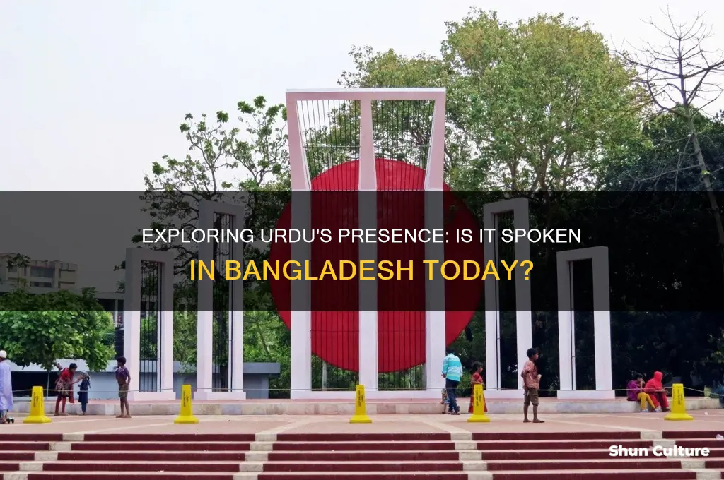 do people speak urdu in bangladesh
