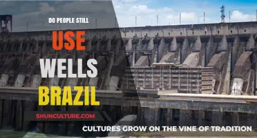 Do Brazilians Still Rely on Wells for Water Access Today?