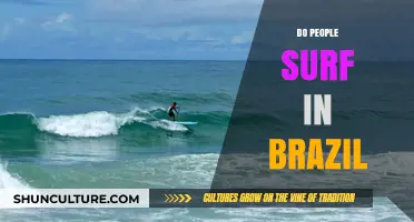 Exploring Brazil's Vibrant Surf Culture: Waves, Beaches, and Passion