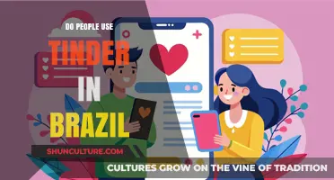 Exploring Tinder's Popularity: How Brazilians Use the Dating App