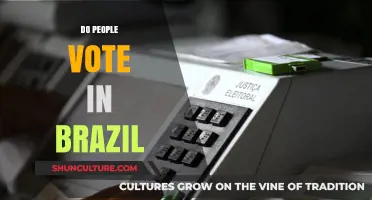 Do Brazilians Vote? Understanding Voter Turnout in Brazil's Elections