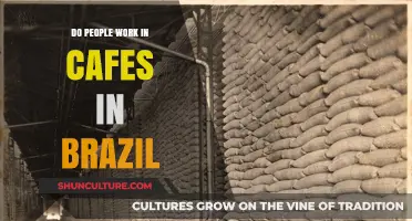 Exploring Brazil's Cafe Culture: Do People Work in Cafes There?