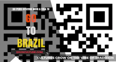 Peru to Brazil: Visa Requirements Explained for Travelers