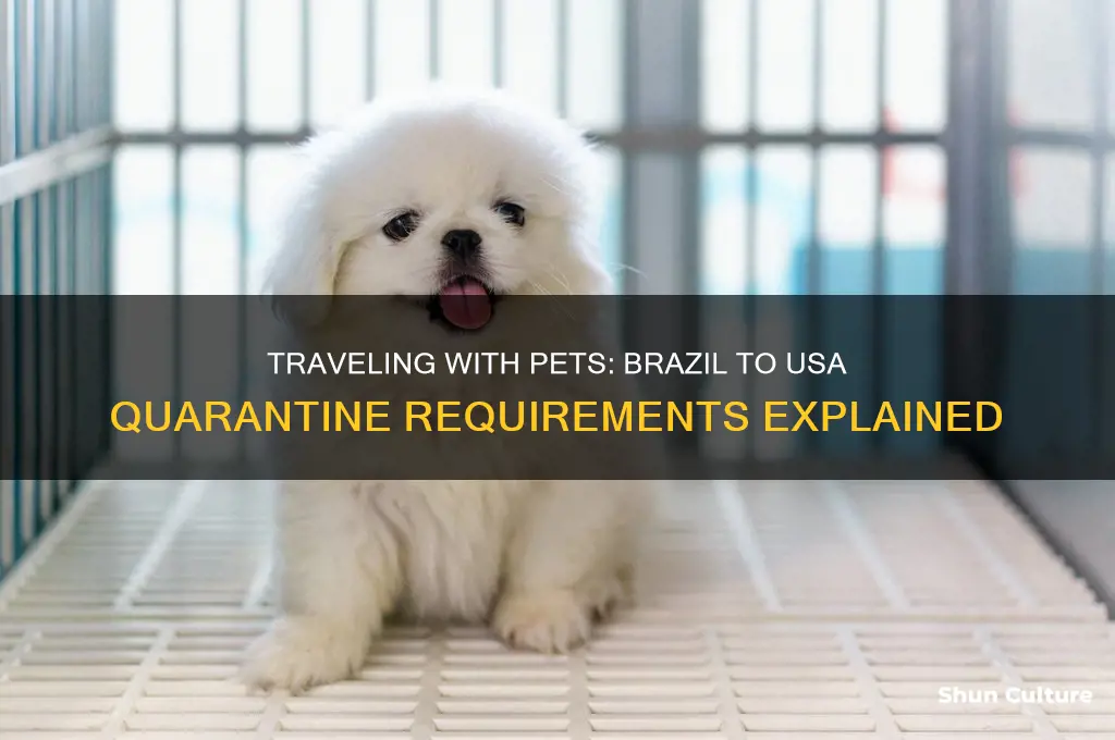 do pets go into quarantine from brazil to usa