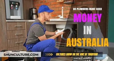 Plumbers' High-Paying Trade in Australia