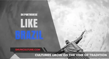 Do Portuguese Like Brazil? Exploring Cultural Connections and Mutual Perceptions