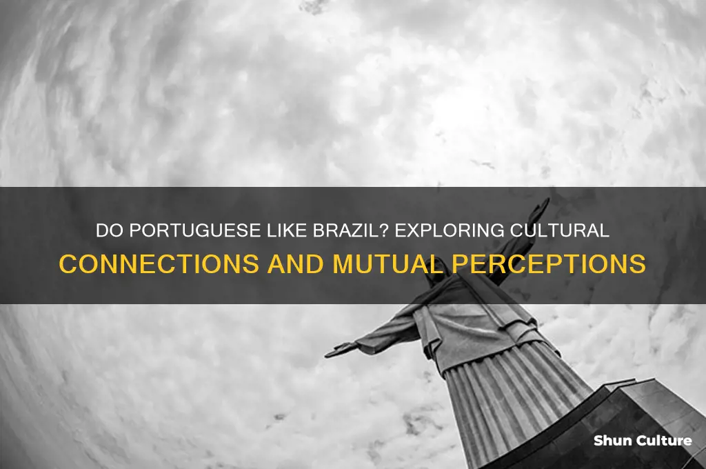 do portuguese like brazil
