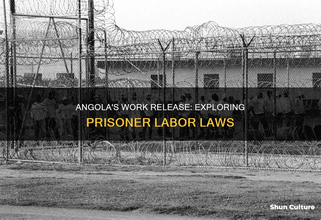 do prisoners have to work in angola