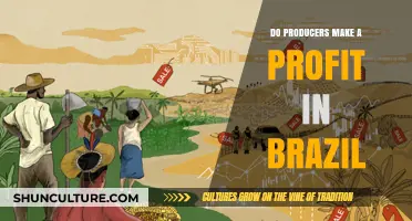 Brazil's Agricultural Producers: Profitability Challenges and Opportunities Explored