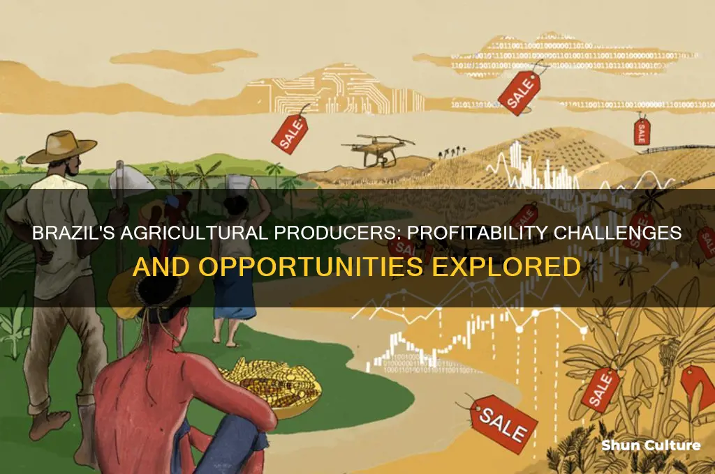do producers make a profit in brazil