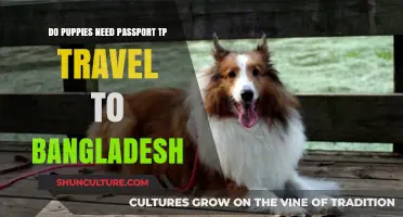 Puppy Travel to Bangladesh: Passport Requirements Explained