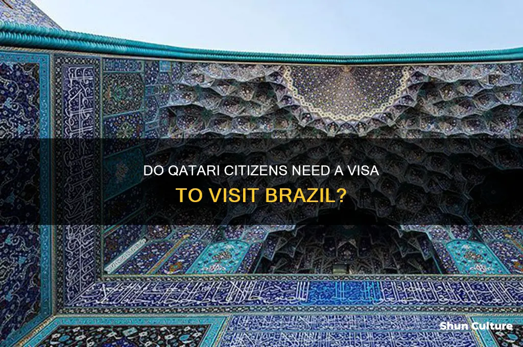 do qatari need visa to brazil