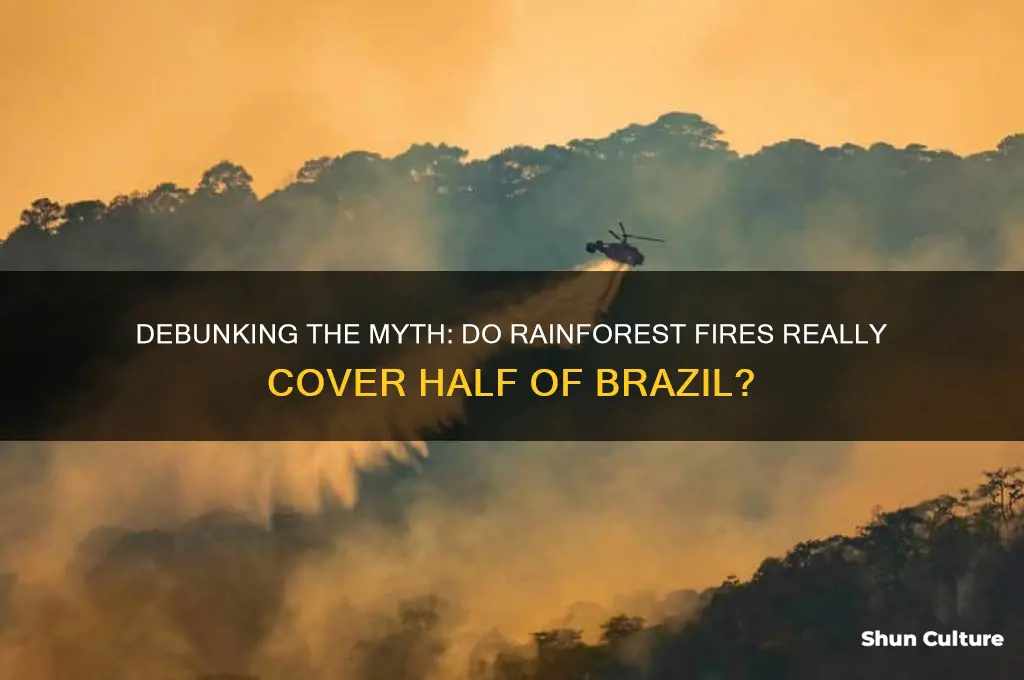 do rainforest fires cover half of brazil