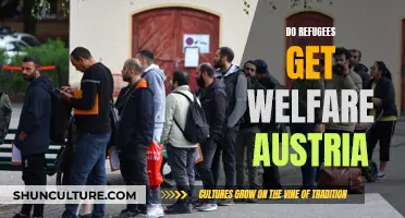 Austria's Welfare System: Supporting Refugees' Wellbeing