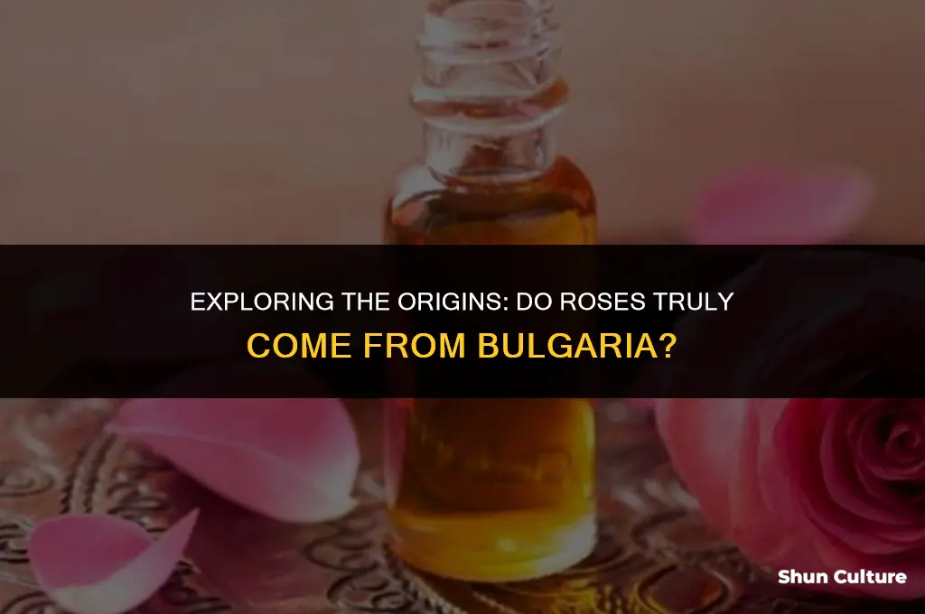 do roses come from bulgaria