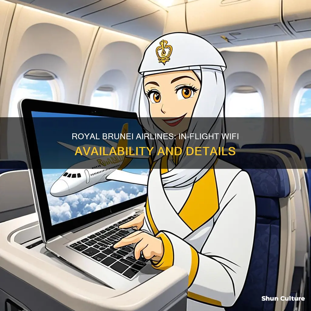 do royal brunei airlines have wifi