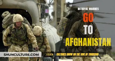 Royal Marines: Afghanistan's Unsung Heroes